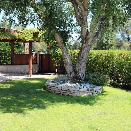 Francesca 이솔라 알바렐라